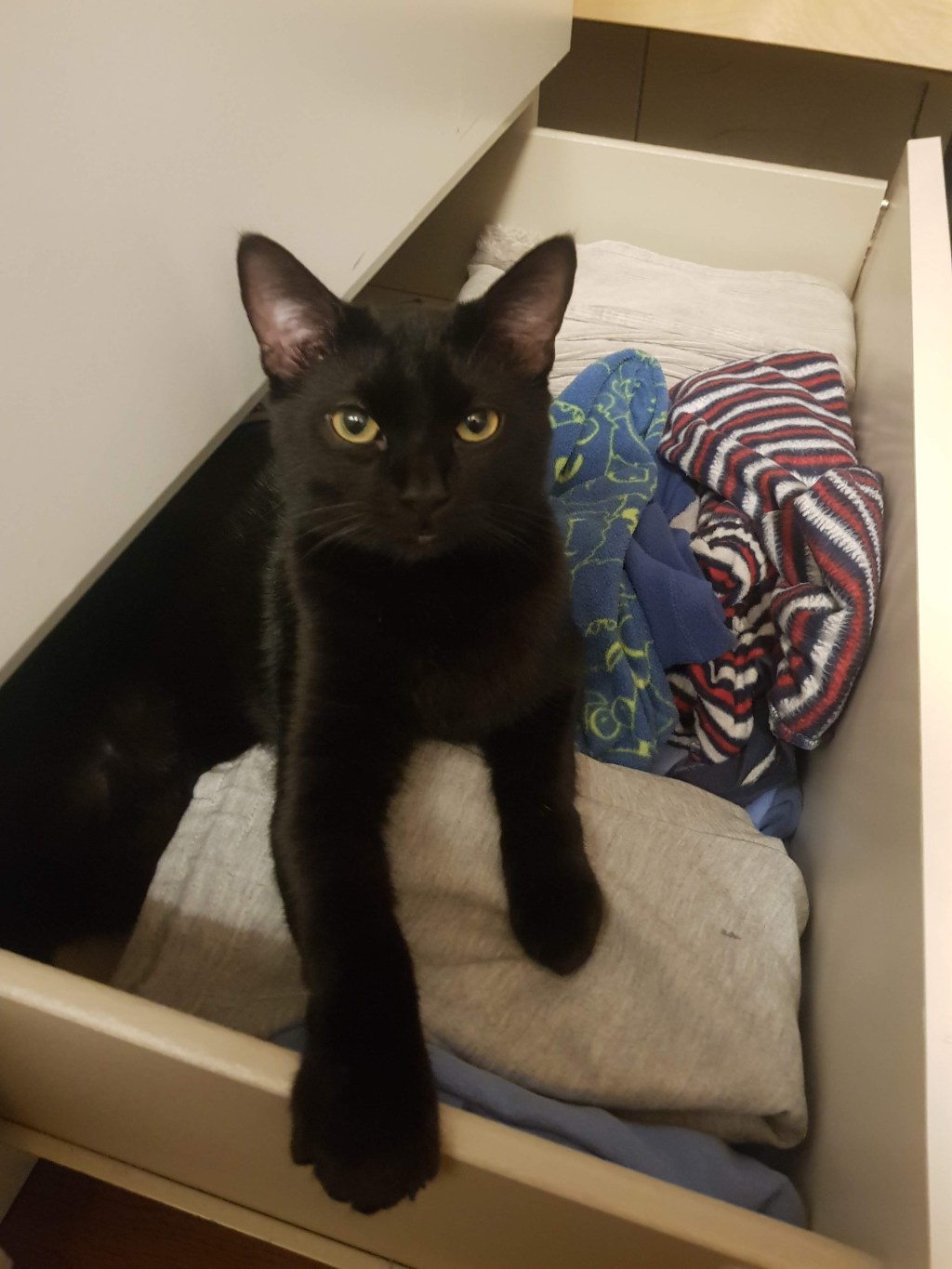 Il bacio della buona notte